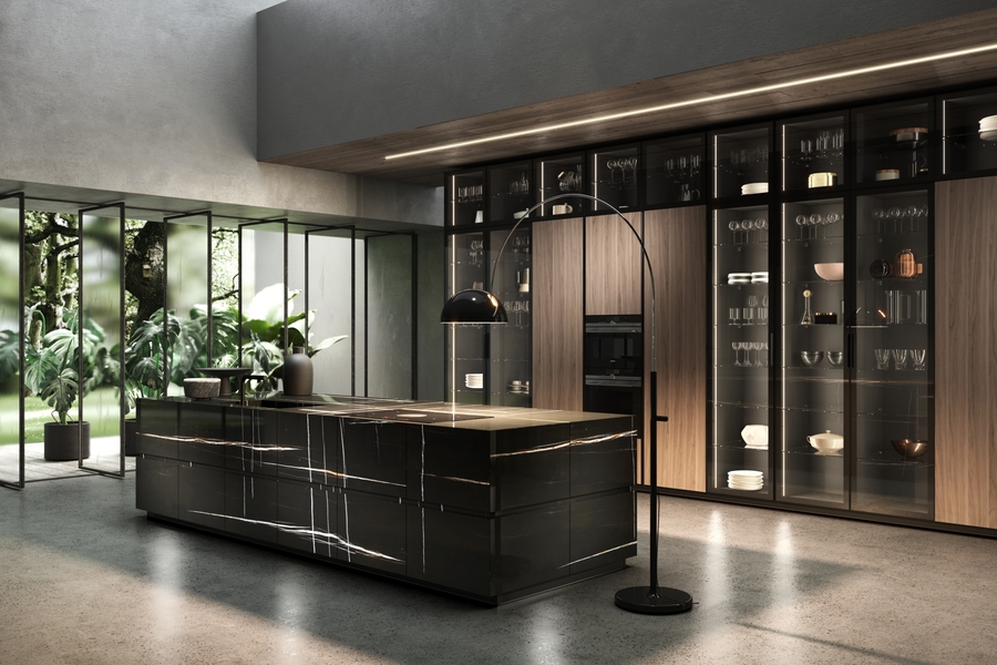 Contempora Aster